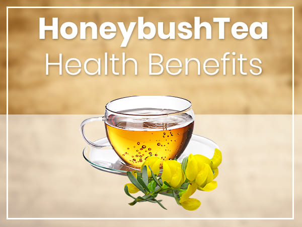Honey Bush herbal tea