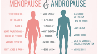 What are Menopause and Andropause? What Are Their Symptoms?